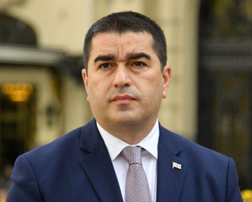 შალვა პაპუაშვილი: ელჩების, NGO-ებისა და პოლიტიკოსების სინდისზეა, რომ მზია ამაღლობელთან საპროცესო გარიგება არ შედგა
