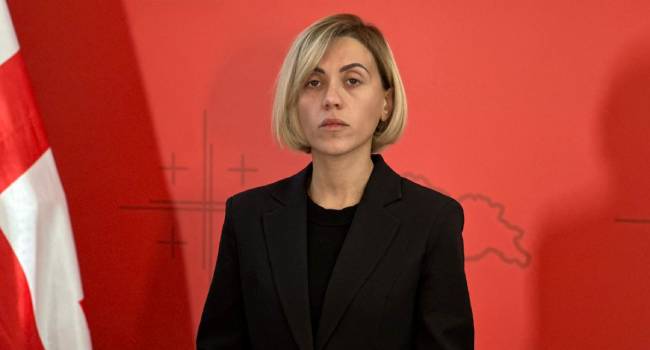 ანა წითლიძე: მნიშვნელოვანია ამ პროცესში საქართველოს პრეზიდენტის როლი