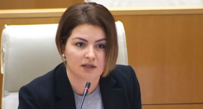 ანა ნაცვლიშვილი: “მარტო “გეებზე” ახსენდებათ სამშობლო!“