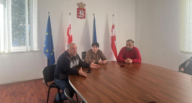 „რაც ხელისუფლებაა, ისაა ადგილობრივ დონეზეც, ზემოდან წამოსულ დირექტივებს ასრულებენ“
