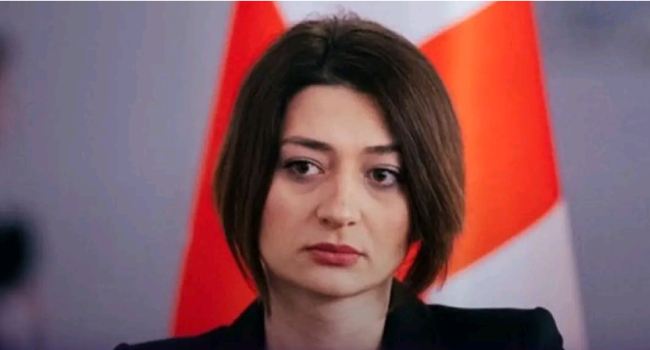 “ლელოს” თვით&მმართველობის არჩევნებთან დაკავშირებით საკუთარი ტაქტიკა აქვს