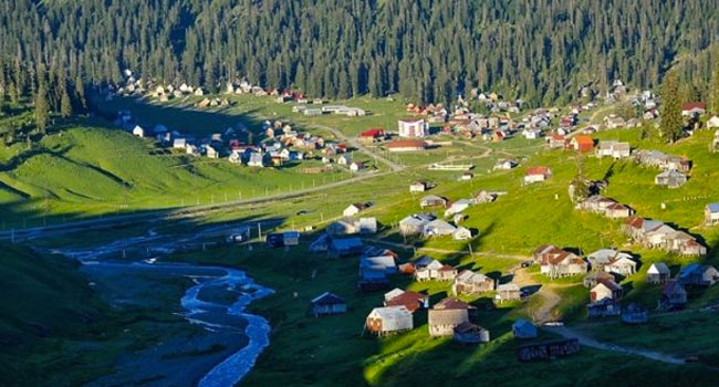 მიწების თაღლითურად დაუფლების ფაქტები ბახმაროში