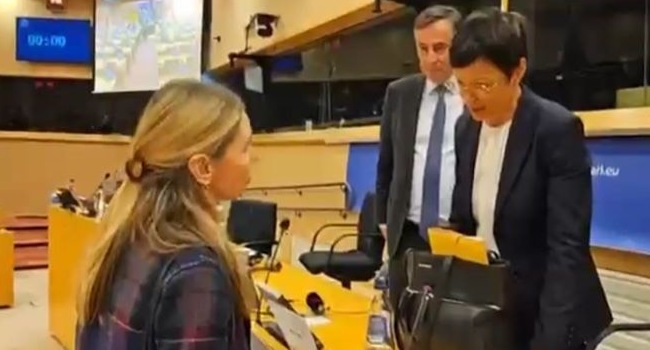 “ეს განაჩენი არის ივანიშვილის რუსული რეჟიმის მიმართ”- თინა ბოკუჩავა