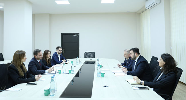 ცესკოს თავმჯდომარე საერთაშორისო რესპუბლიკური ინსტიტუტის (IRI) წარმომადგენლებს შეხვდა