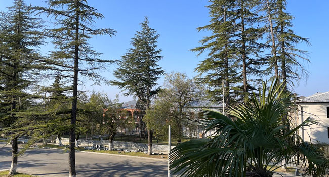 როდიდან გამოიდარებს საქართველოში