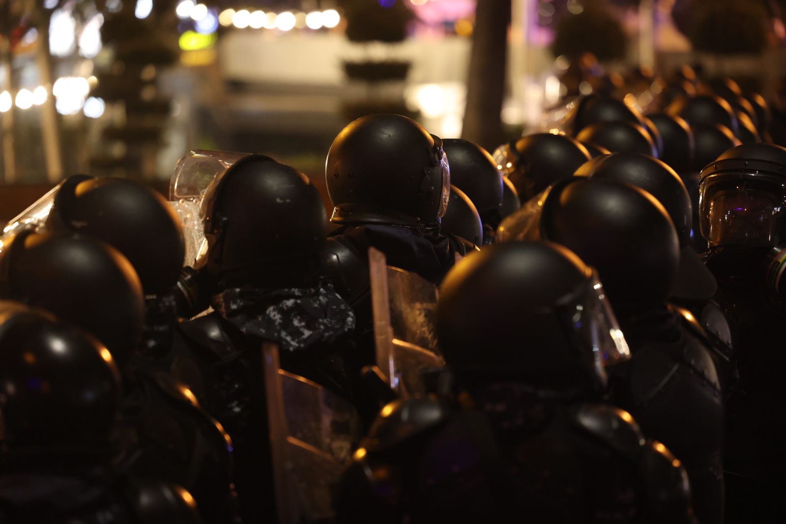 Литва, Эстония и Латвия ввели санкции против Иванишвили и высокопоставленных чиновников МВД