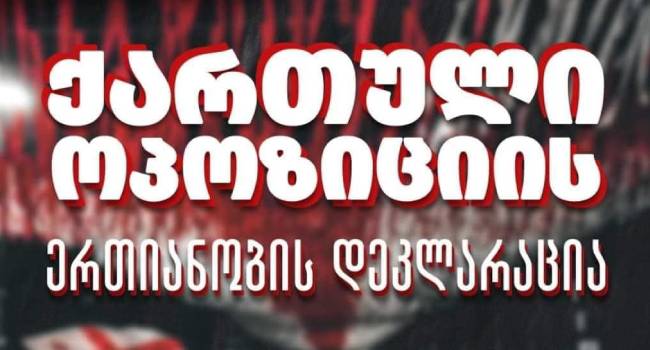 რას გულისხმობს ოპოზიციის ერთიანობის დეკლარაცია