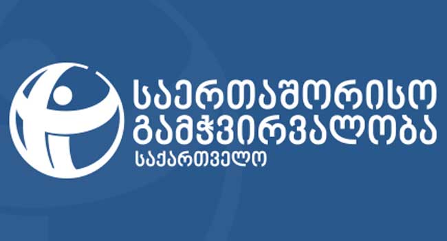 ხარვეზები თანამდებობის პირთა  დეკლარაციებში- საერთაშორისო გამჭვირვალობა- საქართველოს კვლევა