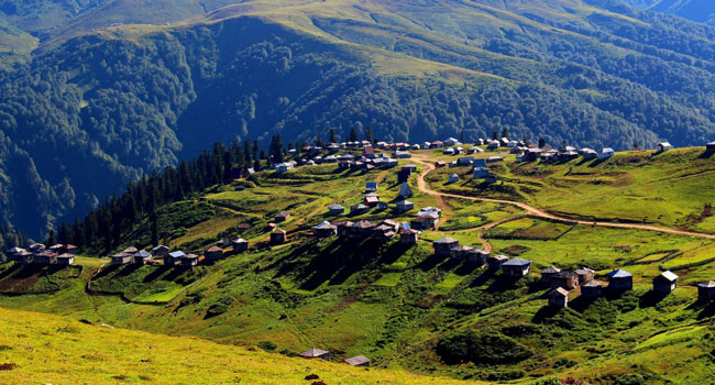გომისმთაზე მოზარდი დაიღუპა