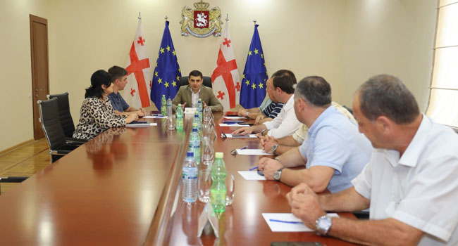 გურიის მხარეში სახელმწიფო რწმუნებულმა ადგილობრივი ხელისუფლების წარმომადგენლებთან სამუშაო შეხვედრა გამართა