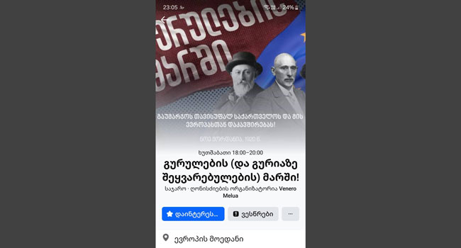 „გურულების მარში“ ევროპის მოედნიდან პარლამენტისკენ