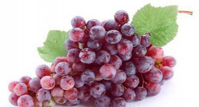 ყურძნის დიეტა
