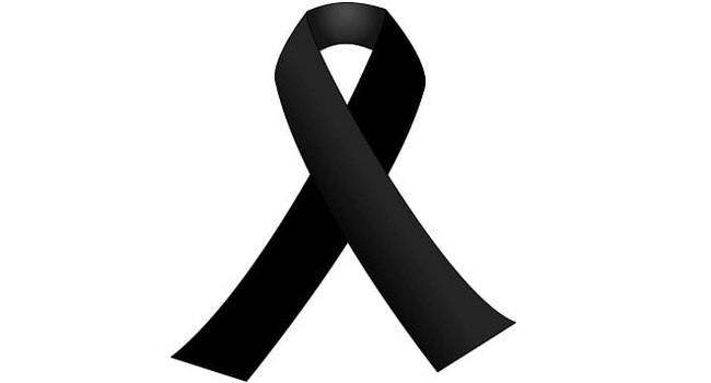 “გული გაუჩერდა, მექსიკაში რომ გადაჰყავდათ ჯგუფთან ერთად”