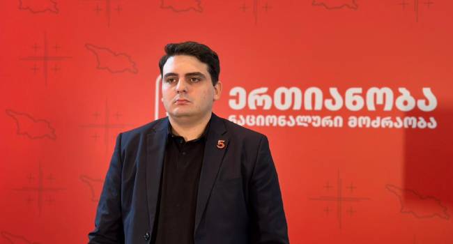 სანიკიძე: “ოცნება” არის ისტერიკაში, გადართულია უკონტროლო ძალადობის მეთოდებზე