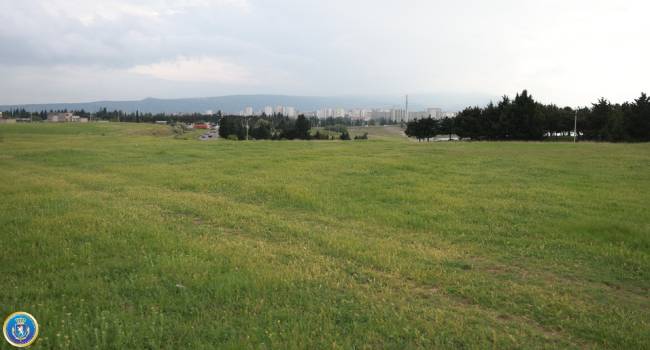 მიწის ნაკვეთების თაღლითურად დაუფლების ფაქტზე ერთი პირი დააკავეს