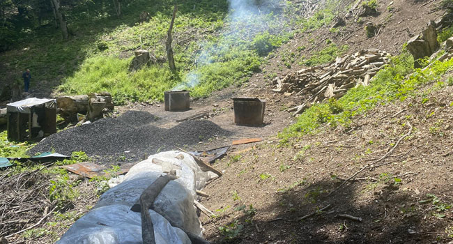 თიანეთში ნახშირის უკანონო გამოწვის ფაქტები გამოავლინეს