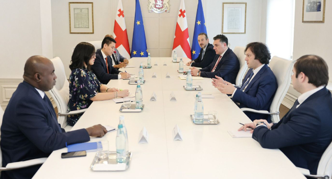 რის შესახებ ისაუბრეს პრემიერმა და გაეროში ქვეყნების მუდმივმა წარმომადგენლებმა