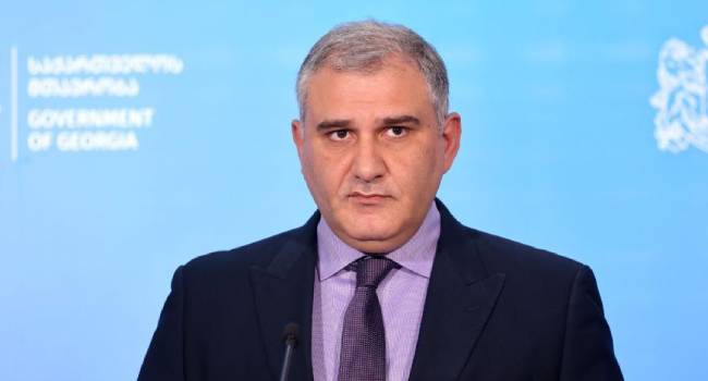 მიხეილ სარჯველაძე: “თავდასხმა ოპონენტების მხრიდან, უსაფუძვლოა”