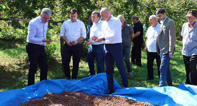 ოთარ შამუგია და გიორგი ურუშაძე  გურიაში მეთხილე ფერმერებს შეხვდნენ
