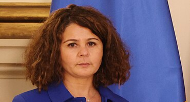 საფრანგეთის ელჩი: უვიზო მიმოსვლის შეჩერების მექანიზმი წინასწარ შეთანხმებული პროცედურაა