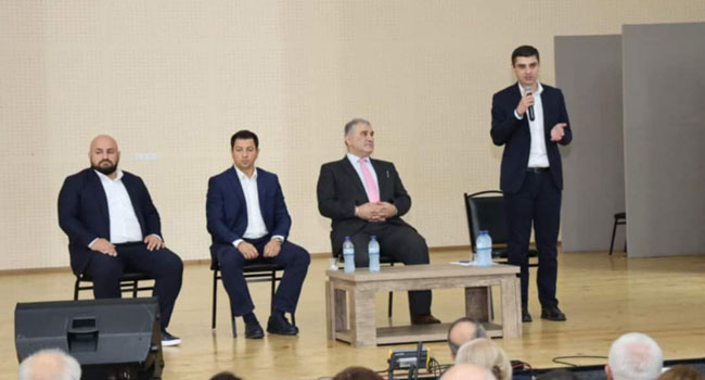 გურიის რეგიონში სამედიცინო სფეროს წარმომადგენლებთან შეხვედრა გაიმართა