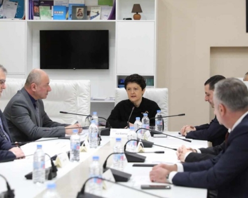 Теа Цулукиани возглавила комиссию по расследованию деятельности властей «Национального движения»