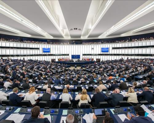 Депутаты Европарламента требуют надлежащего расследования по делу Ии Керзаия