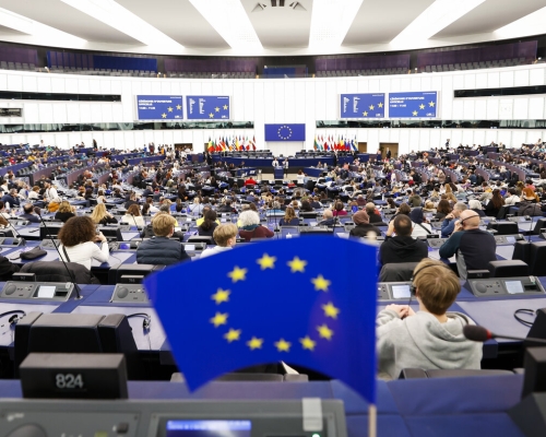 Депутаты Европарламента требуют срочных мер из-за фальсификации выборов и подавления протестов в Грузии