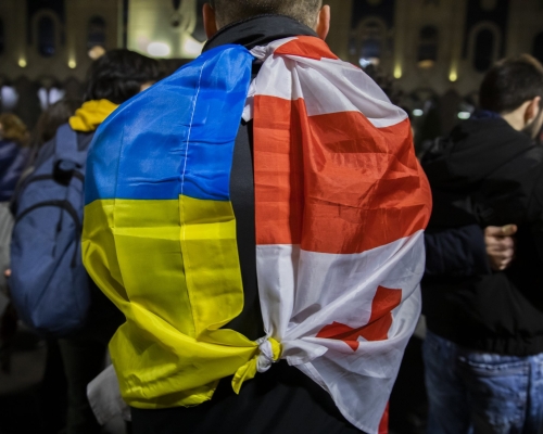 Правительство Грузии выделит 1 млн лари на гуманитарную помощь Украине