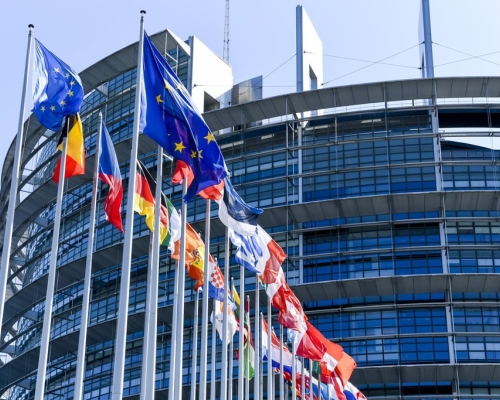 Депутаты Европарламента осуждают нападение на Гахария, поддерживают президента Зурабишвили и призывают к новым выборам