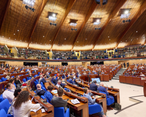 В Парламентской ассамблее Совета Европы состоялись дебаты по Грузии