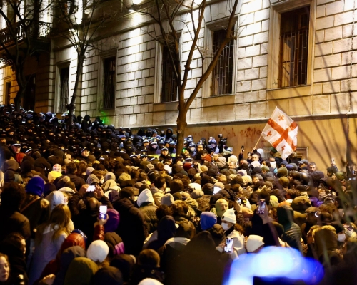 МВД Грузии: 43 протестующих задержаны, 32 полицейских получили увечья