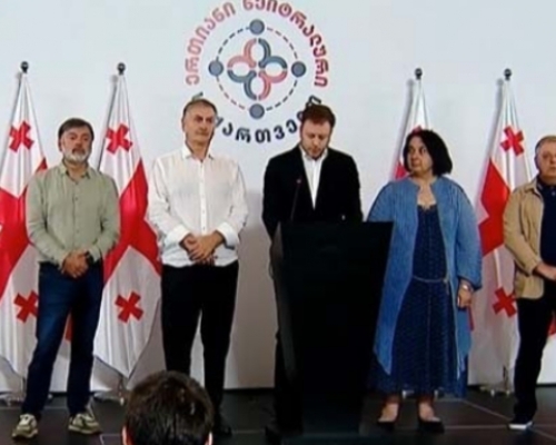 «Единая нейтральная Грузия» обвиняет оппозицию в шпионаже и поддерживает инициативу ГМ о создании следственной комиссии