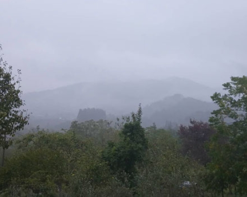 როგორი ამინდი იქნება უქმეებზე