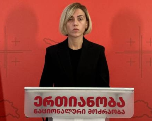 ანა წითლიძე: “ვითხოვთ შემაჯამებელი ოქმების გაუქმებას”