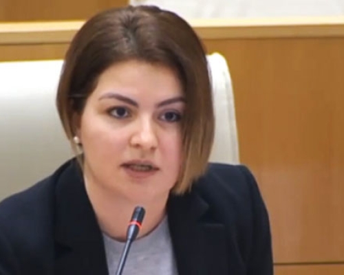ანა ნაცვლიშვილი: “მარტო “გეებზე” ახსენდებათ სამშობლო!“