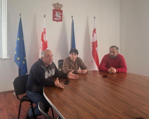 „რაც ხელისუფლებაა, ისაა ადგილობრივ დონეზეც, ზემოდან წამოსულ დირექტივებს ასრულებენ“