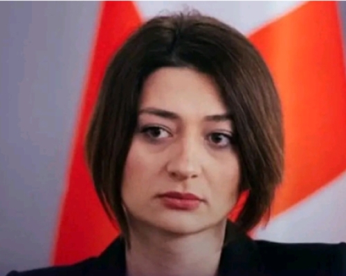 “უსუსურმა “ოცნებამ” ამ შედეგამდე მიგვიყვანა”- ანა ბუჩუკური