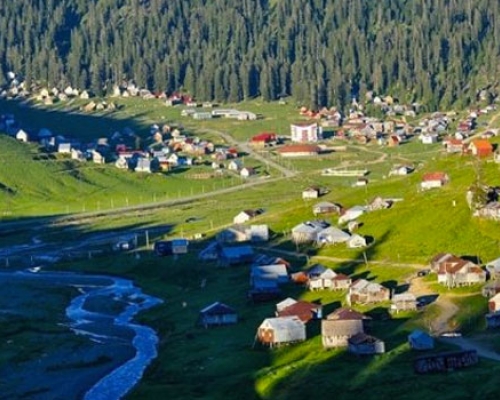 მიწების თაღლითურად დაუფლების ფაქტები ბახმაროში