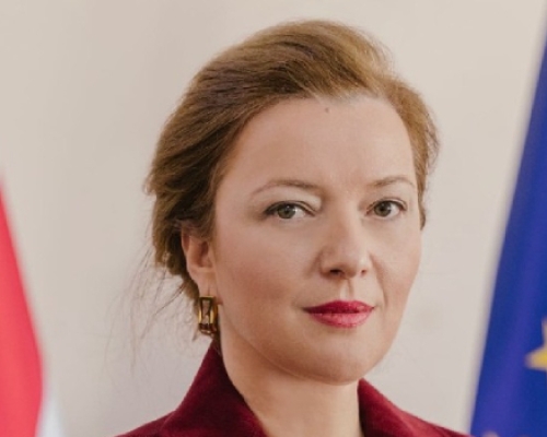 “თუ მზად ხართ, გავუძლოთ ყველაფერს, მოვითხოვოთ მთავრობის გადადგომა” _ ვეტერანების განცხადება აქციაზე