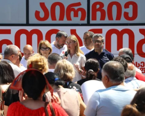 თინა ბოკუჩავა ცესკოს თავმჯდომარეზე: “უკვე ფიზიკურადაც ატარებს შავ ლაქას”
