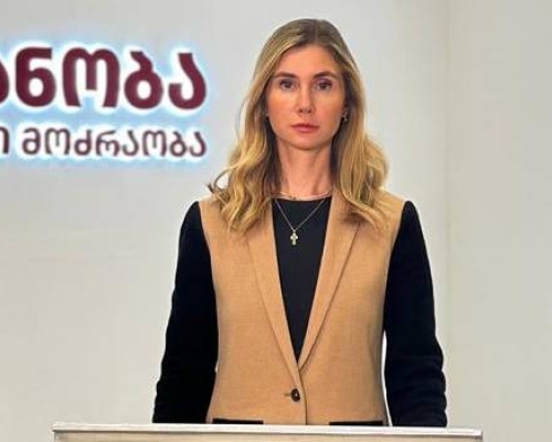 “ევროკავშირის ელჩთან შეხვედრა შეეხებოდა ორ მნიშვნელოვან საკითხს”- თინა ბოკუჩავა