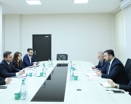 ცესკოს თავმჯდომარე საერთაშორისო რესპუბლიკური ინსტიტუტის (IRI) წარმომადგენლებს შეხვდა