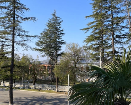 როდიდან გამოიდარებს საქართველოში