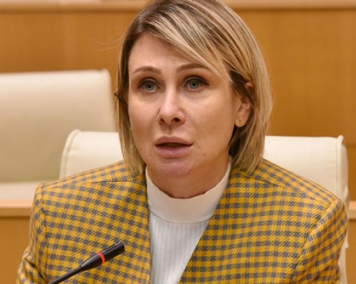 ნინო წილოსანი: ვისაც აღნიშნული მუხლი აქვს დარღვეული ყველას შეგიძლიათ უჩივლოთ, მე ხომ ვერ ვუჩივლებ თქვენს ნაცვლად?