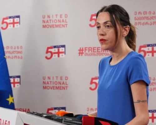ანა წითლიძე: ის, რომ ამაზე დისკუსია მიმდინარეობს  არის ძალიან ცუდი, პასუხისმგებლობა  ეკისრება “ოცნებას” და ივანიშვილს
