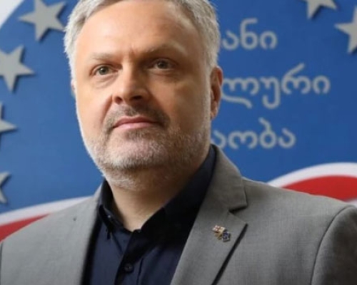პარტიის გამწევი ძალა მიხეილ სააკაშვილია – გიორგი ბარამიძე