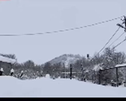 “მიცვალებული სახლში გვილპება, დაგვეხმარეთ” _ მეზობლის სახლის გადმოთოვლისას დაღუპულის ოჯახი