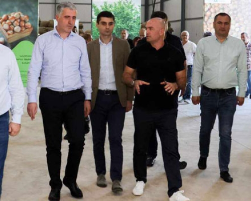 სოფლის მეურნეობის მინისტრი გურიის სახელმწიფო რწმუნებულთან ერთად თხილის ჩაბარების პროცესს გაეცნო