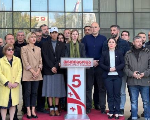 თინა ბოკუჩავა: უარს ვაცხადებთ საპარლამენტო მანდატებზე და ცესკოს მივმართავთ